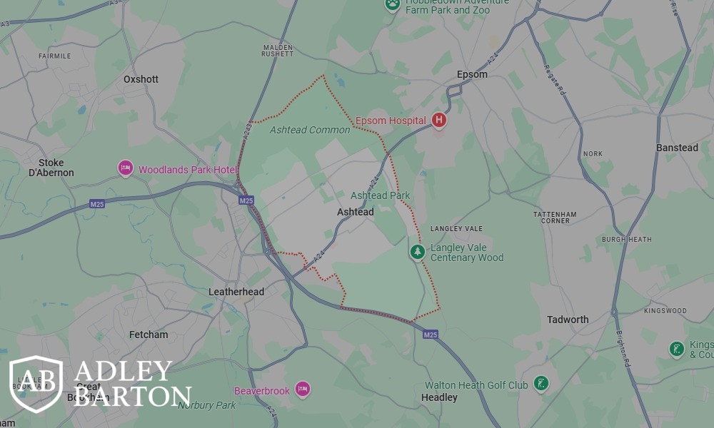 AdleyBarton Private Investigator in Ashtead