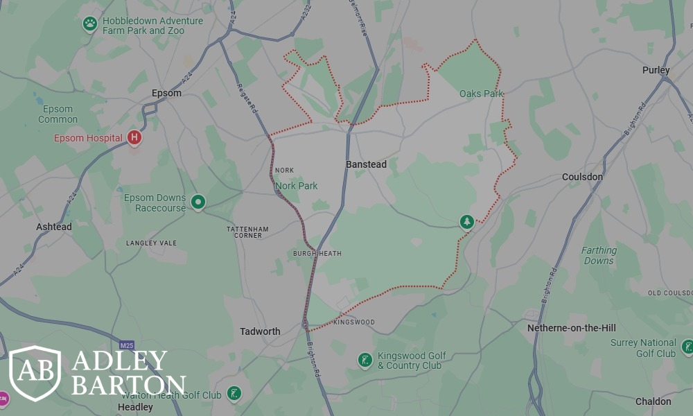 AdleyBarton Private Investigator in Banstead
