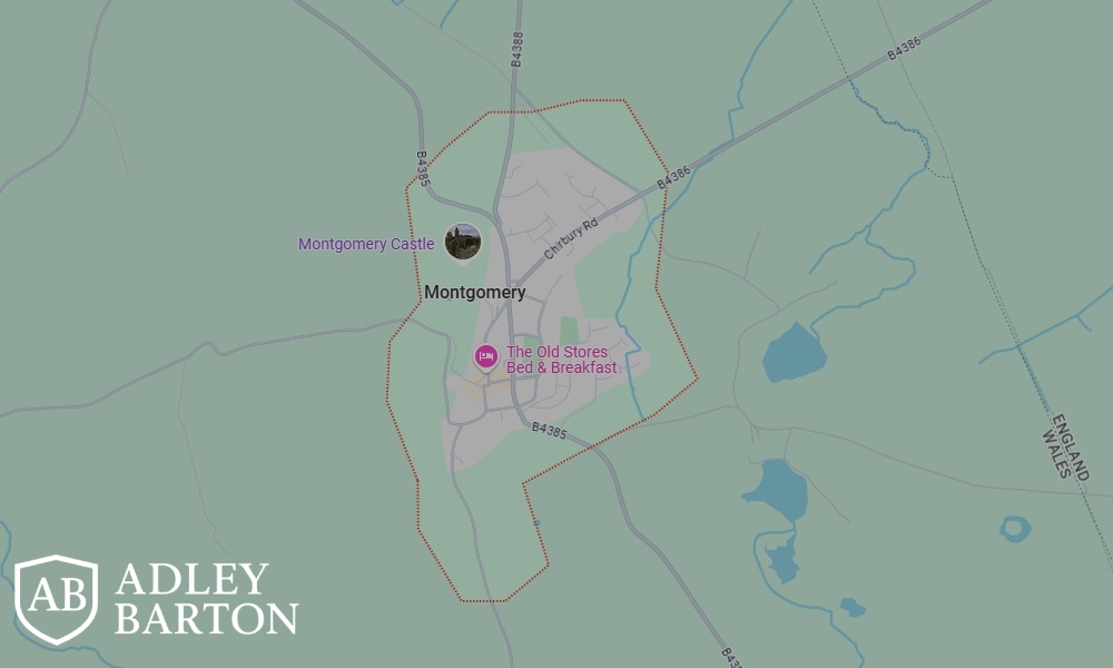 AdleyBarton Private Investigator in Montgomery