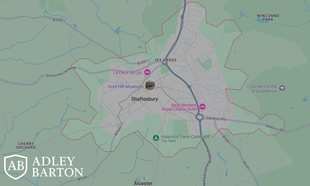 AdleyBarton Private Investigator in Shaftesbury